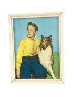 Schilderij Lassie hond retro 